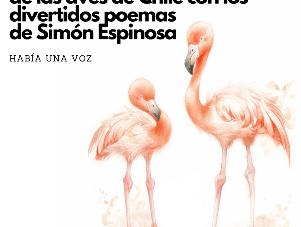 ¡Descubre el fascinante mundo de las aves de Chile con los divertidos poemas de Simón Espinosa!