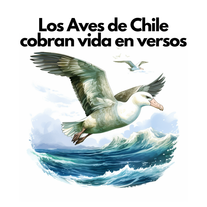 Los Aves de Chile Cobran Vida en Versos: Poemas en Rima en Formato Audiocuento